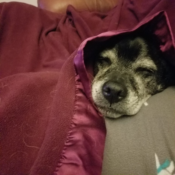 Meet your Posher, Tami - Picture 6 of 8